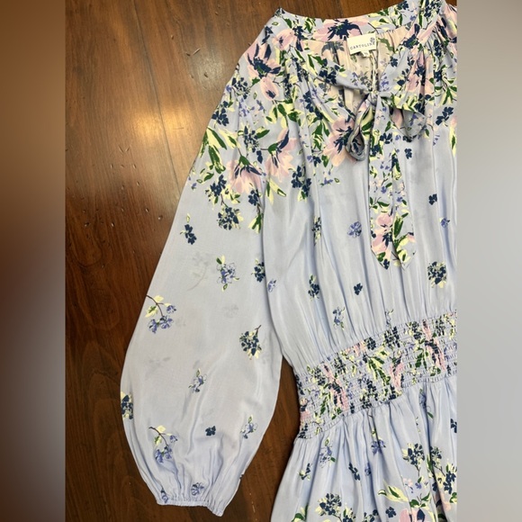 Cartolina Emelia Mini Dress Size XL Light Blue Floral Ruffle Smocked Waist NWT - Picture 6 of 16